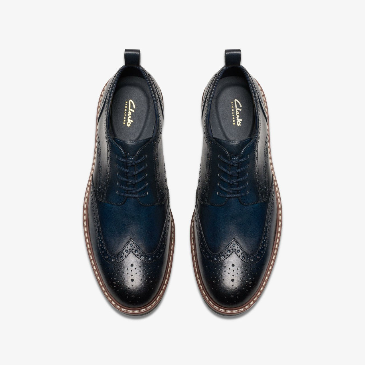 Aldwin Limit Brogue Navy Leather