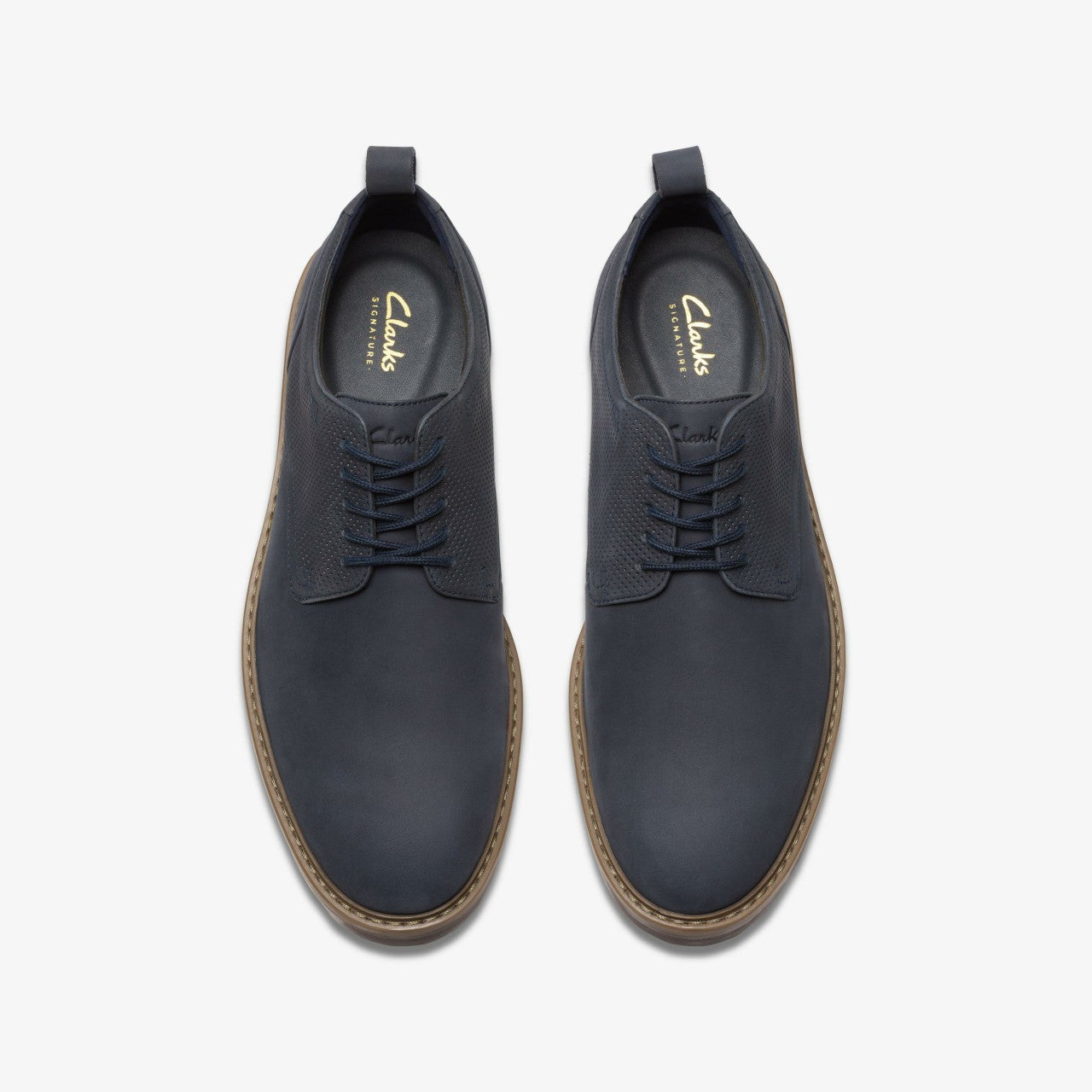 Aldwin Lace Navy Nubuck