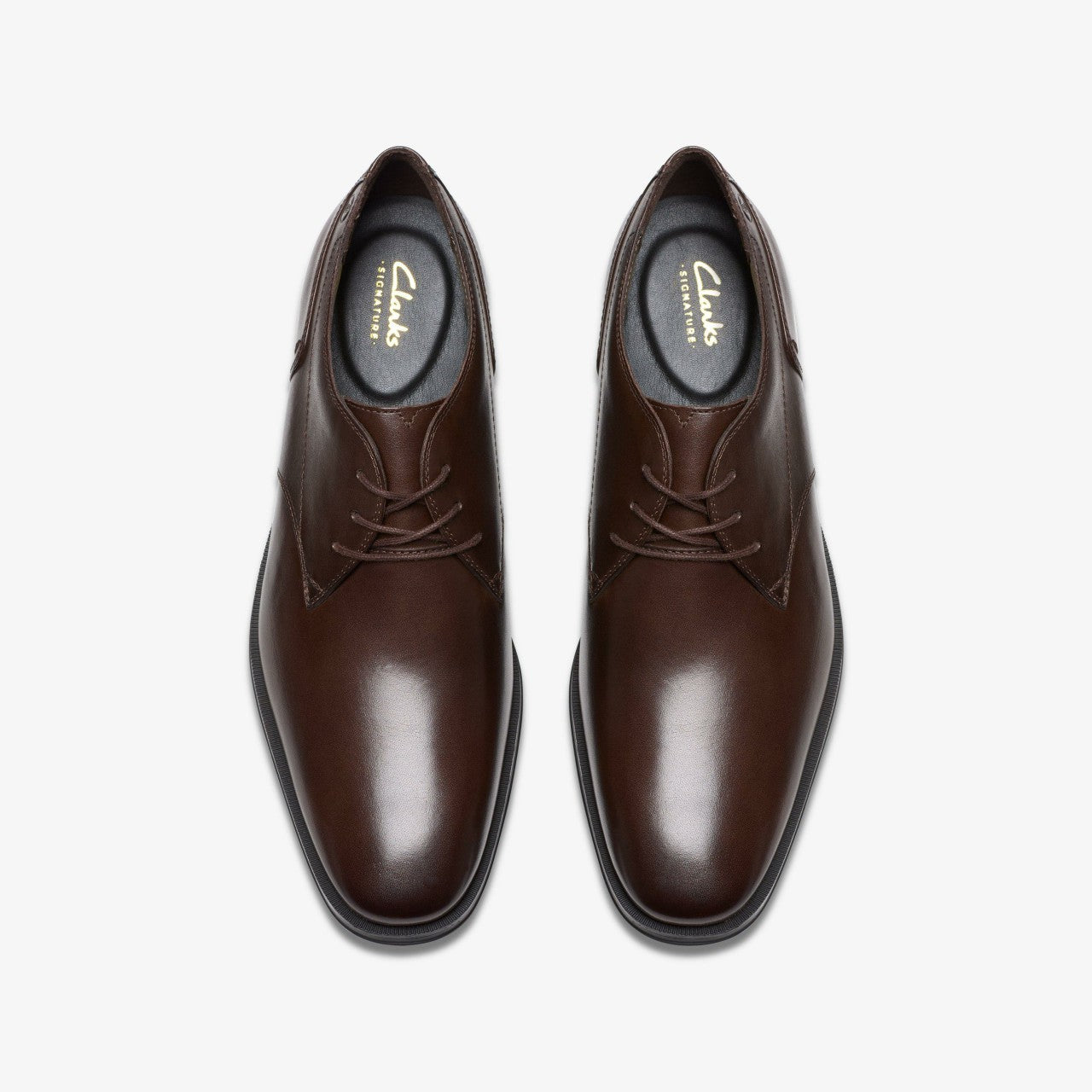 Paulton Lace Brown