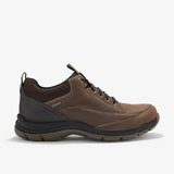 Dark Brown Leather