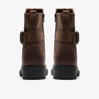 Hearth Buckle Dark Brown