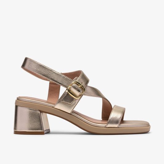 Jaylan Sol Champagne - US 9622